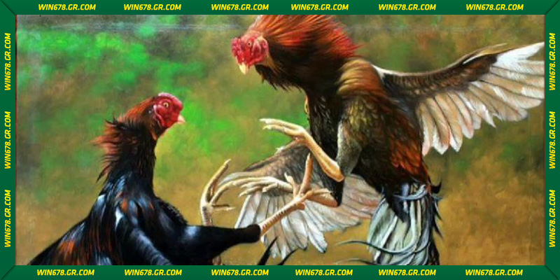 cam-ket-an-toan-cung-minh-bach-tai-sanh-ga-choi-thomo